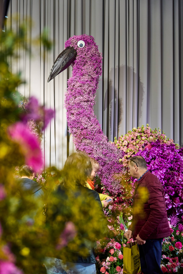 Fantastyczny World Flower Show &ndash; Światowa Wystawa Roślin na Tarczyński Arena 11 i 12 kwietnia