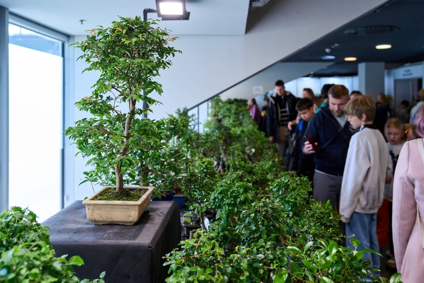 Fantastyczny World Flower Show &ndash; Światowa Wystawa Roślin na Tarczyński Arena 11 i 12 kwietnia