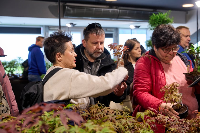 Fantastyczny World Flower Show &ndash; Światowa Wystawa Roślin na Tarczyński Arena 11 i 12 kwietnia