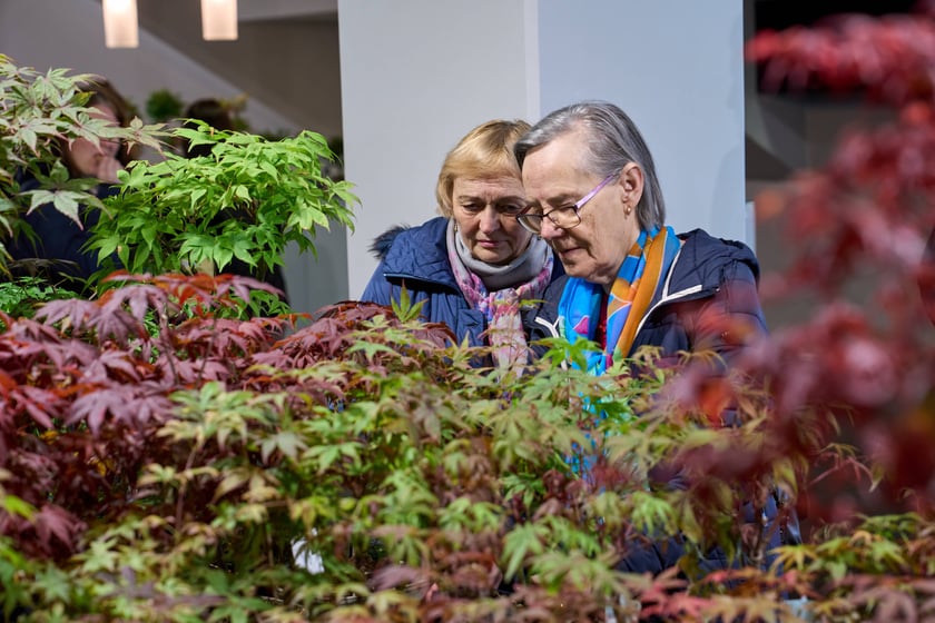Fantastyczny World Flower Show &ndash; Światowa Wystawa Roślin na Tarczyński Arena 11 i 12 kwietnia