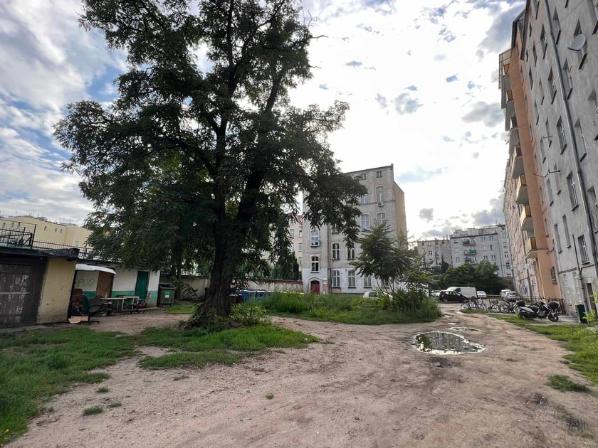 Przed rozpoczęciem prac - podwórko  Prusa, Poniatowskiego, Oleśnicka i Żeromskiego