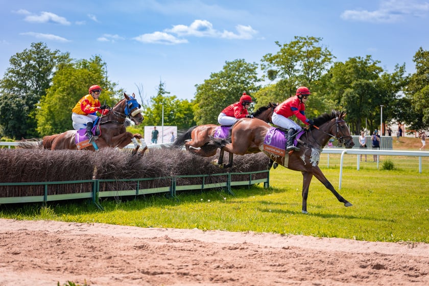 Ladies Day na Partynicach - 4.06.2026 r.