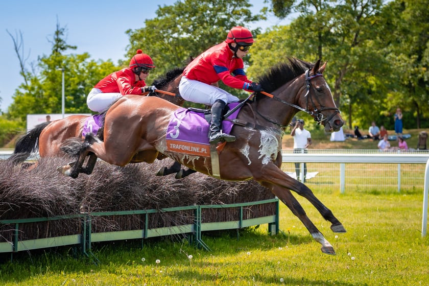 Ladies Day na Partynicach - 4.06.2026 r.