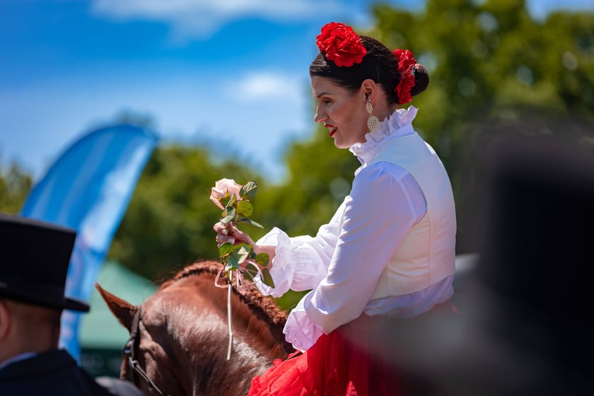 Ladies Day na Partynicach - 4.06.2026 r.