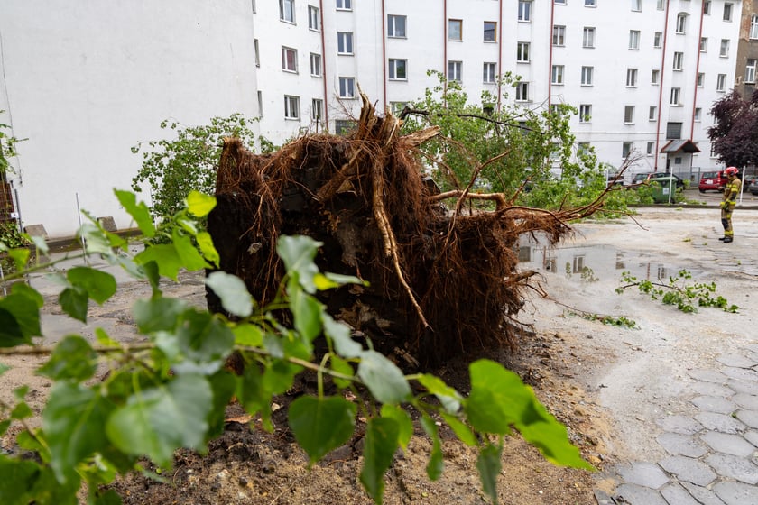 Drzewo spadło na samochód w rejonie skrzyżowania ul. Barlickiego i Kluczborskiej, 14.07.2026