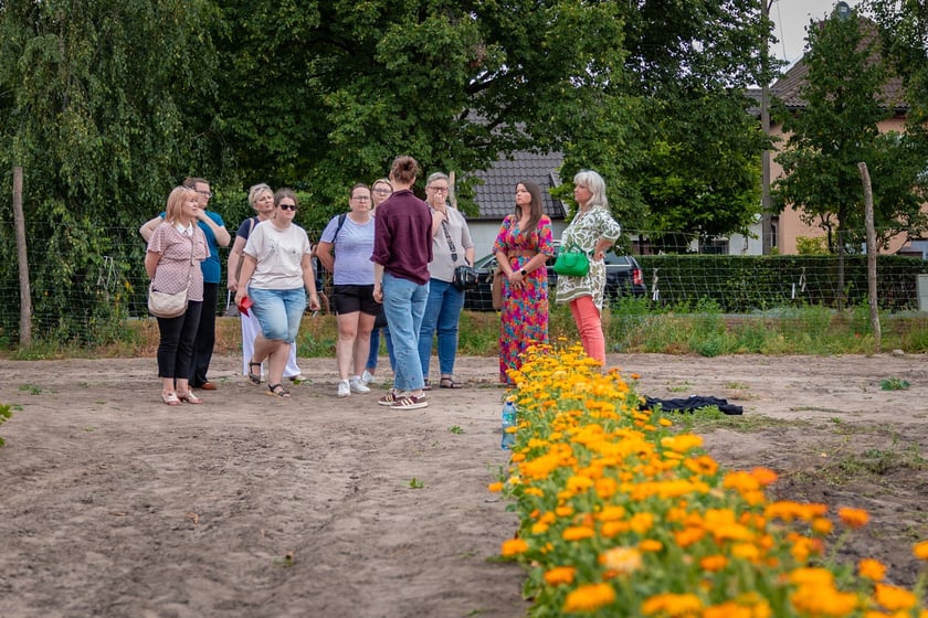 Farma Miejska Wrocław. Pierwsze tegoroczne zbiory trafiły do przedszkoli i żłobków