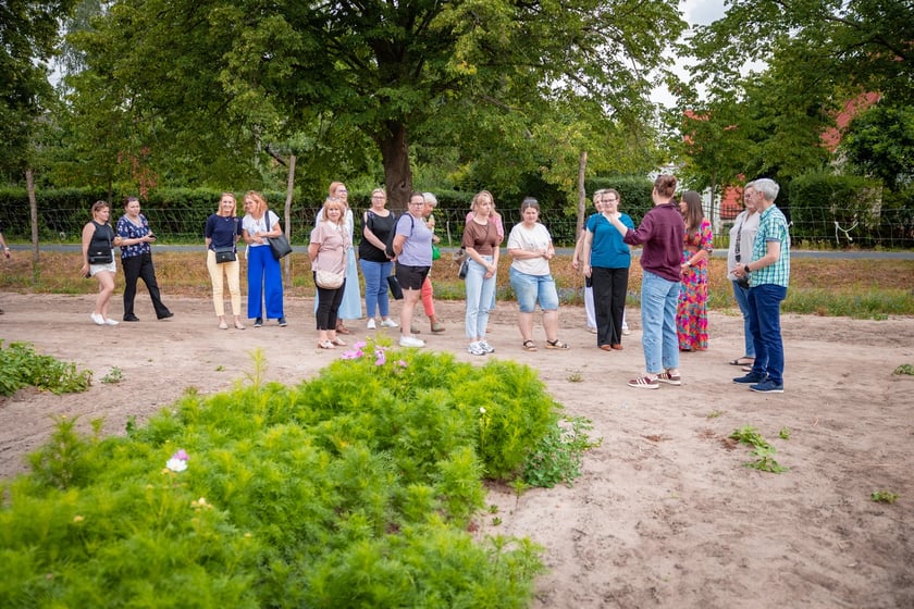 Farma Miejska Wrocław. Pierwsze tegoroczne zbiory trafiły do przedszkoli i żłobków