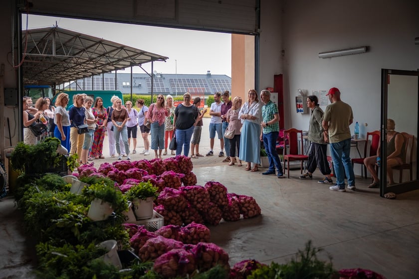 Farma Miejska Wrocław. Pierwsze tegoroczne zbiory trafiły do przedszkoli i żłobków