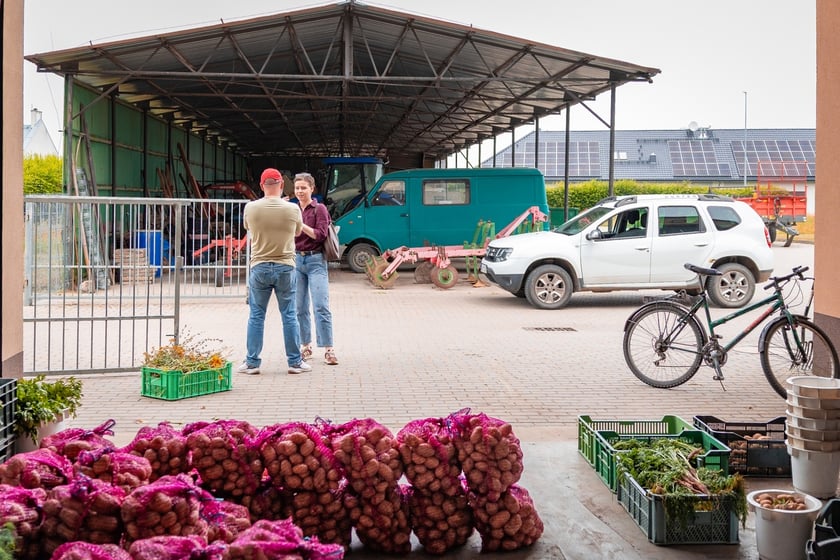 Farma Miejska Wrocław. Pierwsze tegoroczne zbiory trafiły do przedszkoli i żłobków