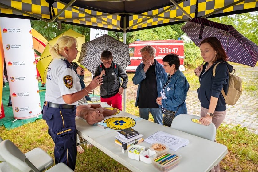 Piknik "Wakacje z Wroclaw.pl" pod wzgórzem Gajowym