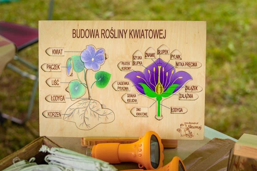 Piknik "Wakacje z Wroclaw.pl" pod wzgórzem Gajowym