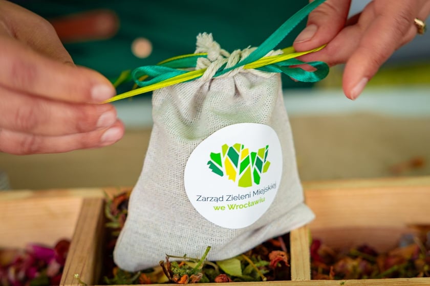 Piknik "Wakacje z Wroclaw.pl" pod wzgórzem Gajowym