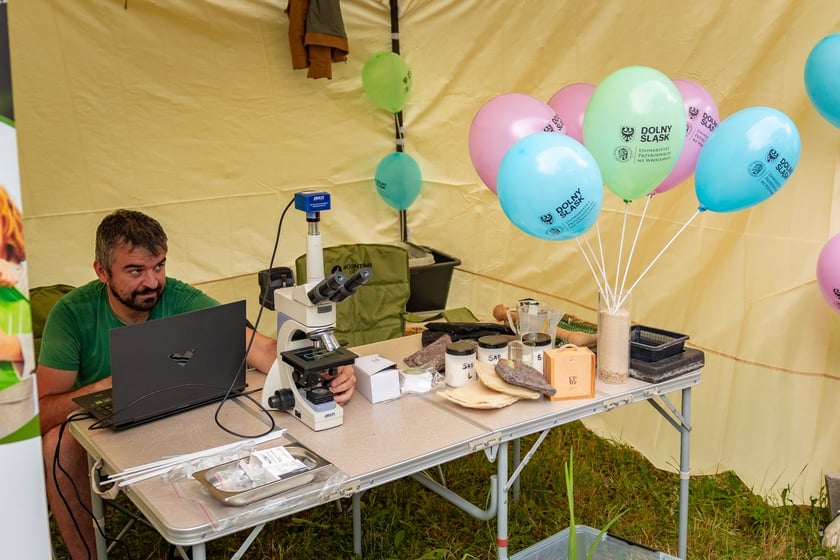 Piknik "Wakacje z Wroclaw.pl" pod wzgórzem Gajowym