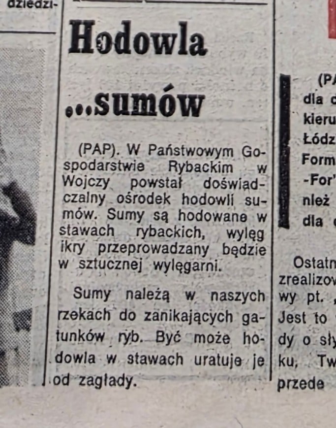 Wrocławska prasa z lat siedemdziesiątych XX wieku,Wiecz&oacute;r Wrocławia