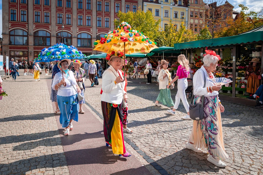 Wrocławskie Dni Seniora 2026 na Placu Solnym