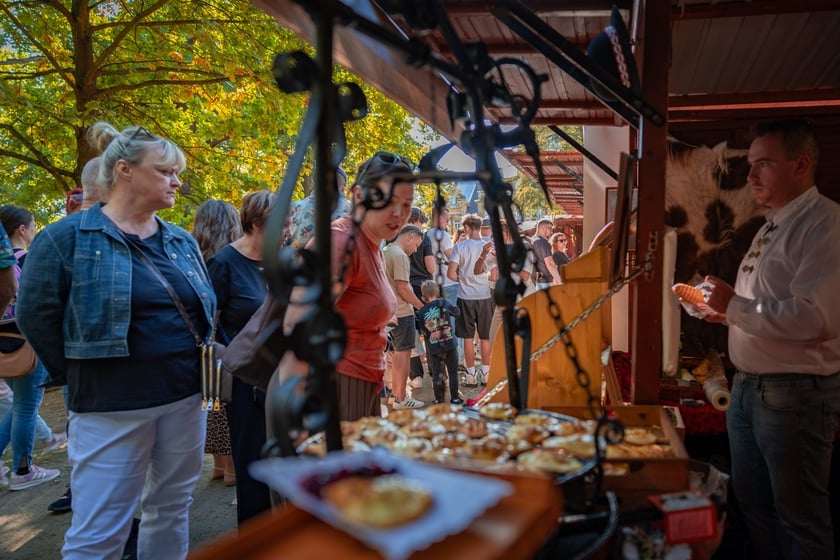 Koncert zespołu Enej podczas Wrocławskich Dożynek MIejsko-Uniwersyteckich w Pawłowicach