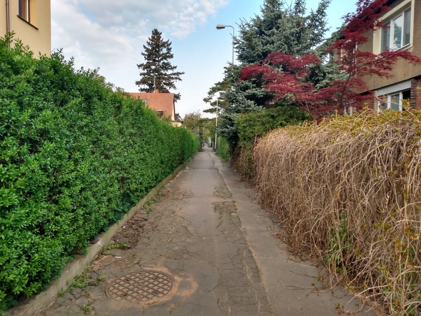 alejka Olgi Boznańskiej, widok z Rodakowskiego w stronę Michałowskiego