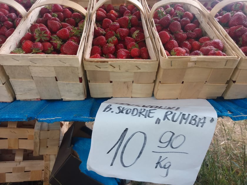 Ul. Bolesława Krzywoustego