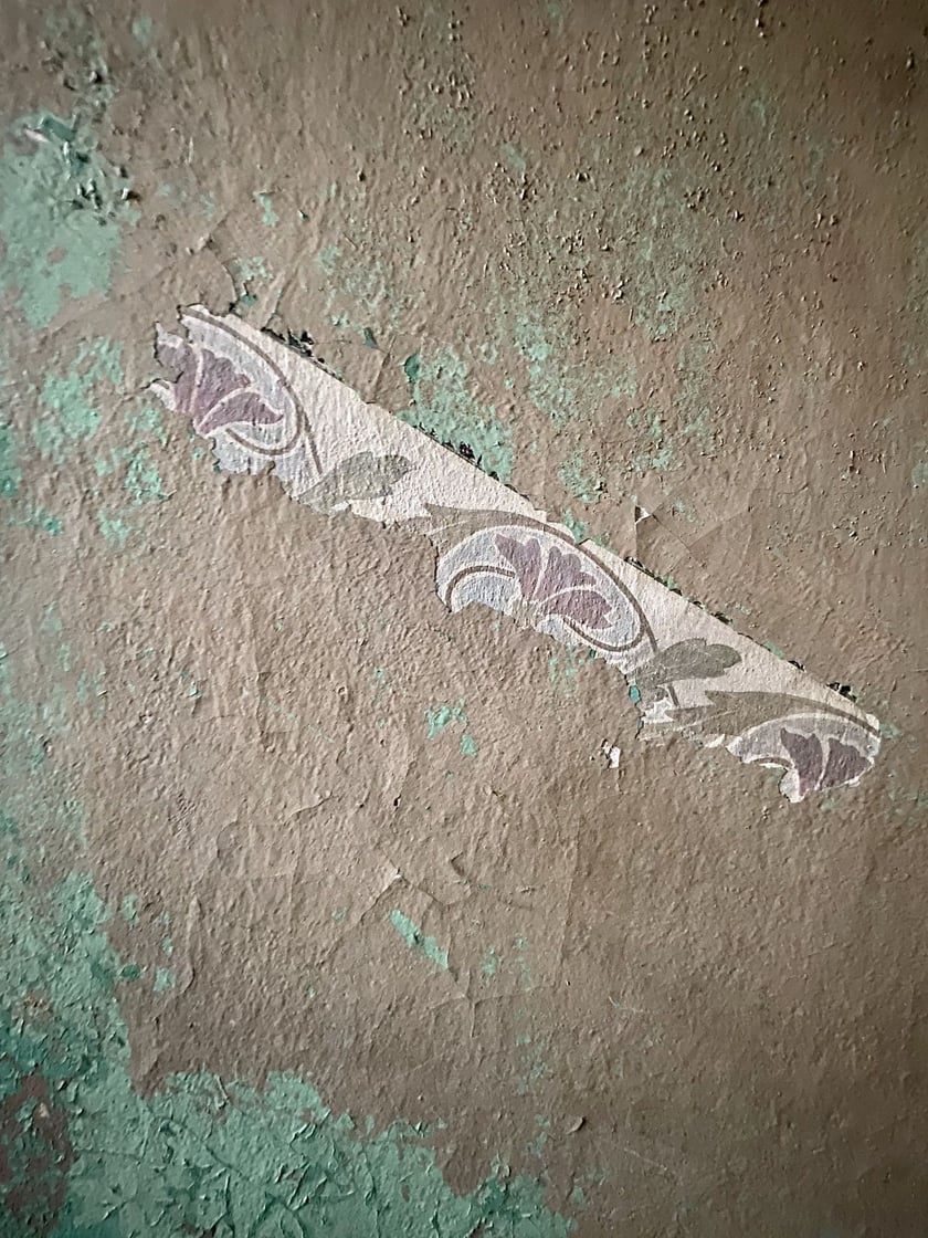 Najładniejsze kamienice, klatki schodowe i sienie Wrocławia