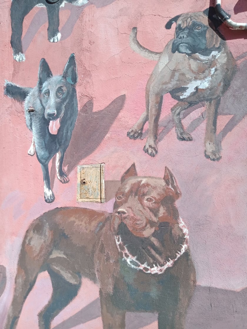 Kolorowe podwórka przy ul. Roosevelta we Wrocławiu przyciągają i turystów, i wrocławian. Murale na Nadodrzu zachwycają!