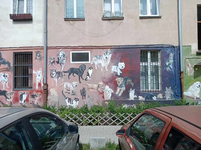 Kolorowe podwórka przy ul. Roosevelta we Wrocławiu przyciągają i turystów, i wrocławian. Murale na Nadodrzu zachwycają!