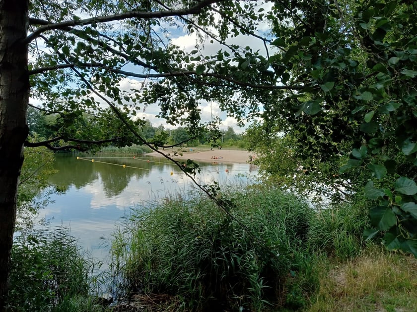 Nowy Beach Bar we Wrocławiu powstał na Maślicach. Obok są: staw, kąpielisko i miejsca do grillowania