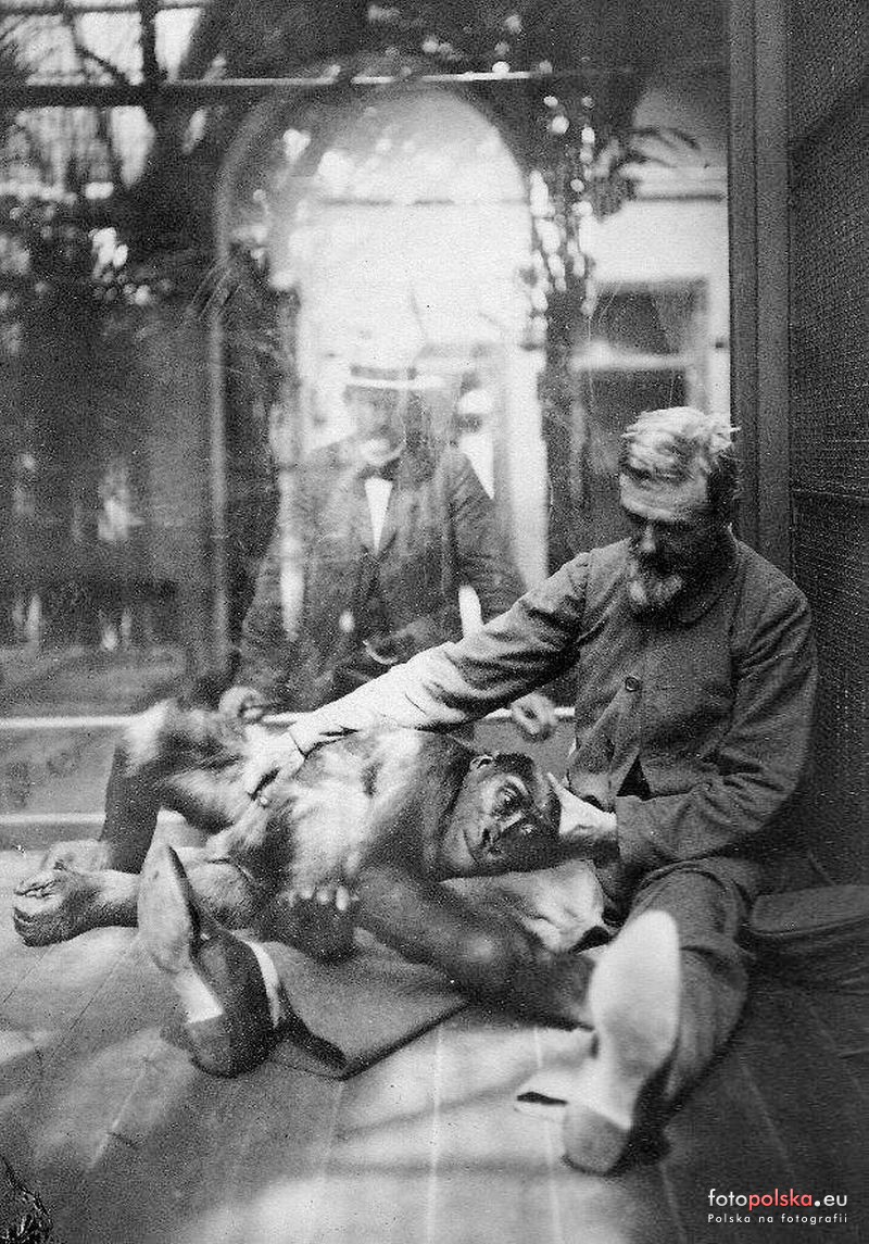 Jakie zwierzęta żyły we wrocławskim ZOO przed II wojną światową? Zobaczcie zdjęcia w naszej galerii