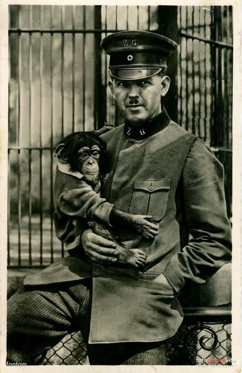 Jakie zwierzęta żyły we wrocławskim ZOO przed II wojną światową? Zobaczcie zdjęcia w naszej galerii