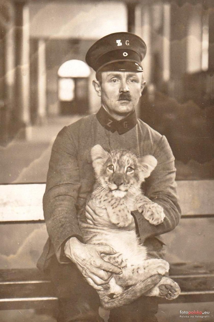 Jakie zwierzęta żyły we wrocławskim ZOO przed II wojną światową? Zobaczcie zdjęcia w naszej galerii