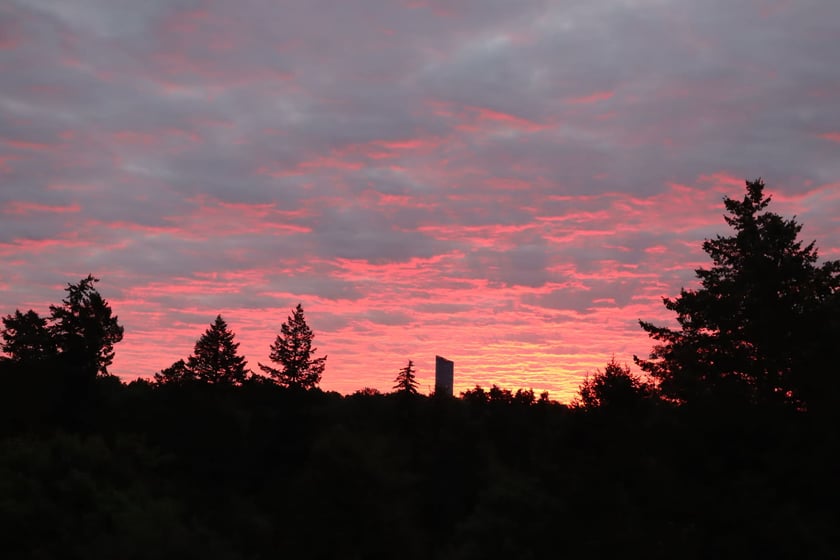 Uroczyste obchody 83. rocznicy wybuchu II wojny światowej na Cmentarzu Żołnierzy Polskich we Wrocławiu