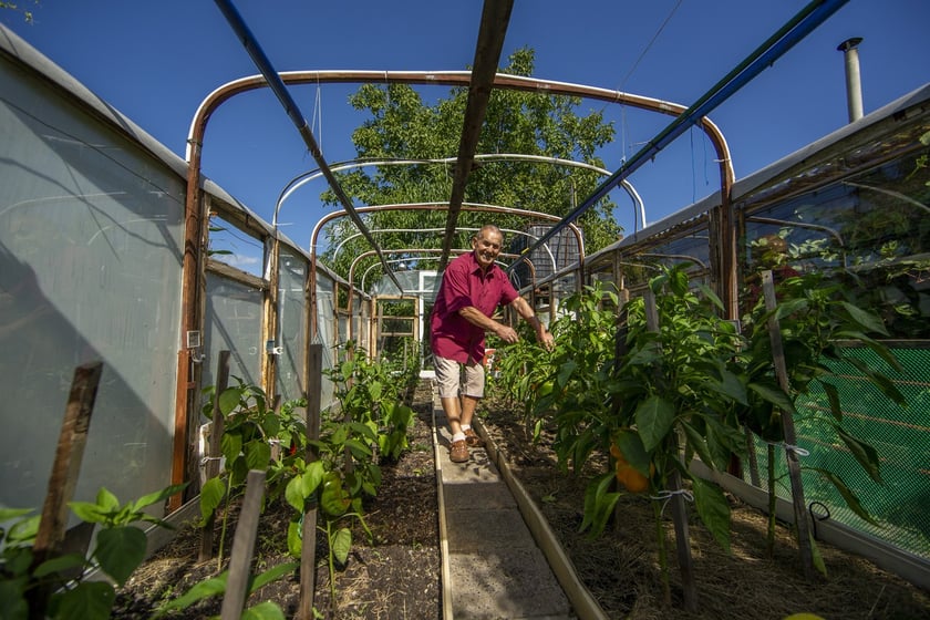 Na działce można zająć się uprawą warzyw lub owoców albo odpocząć w altance