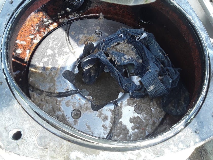 Tak zapychane są wrocławskie rury kanalizacyjne!