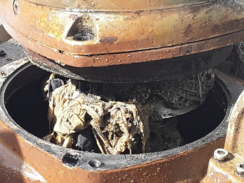 Tak zapychane są wrocławskie rury kanalizacyjne!