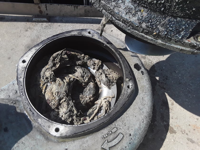 Tak zapychane są wrocławskie rury kanalizacyjne!