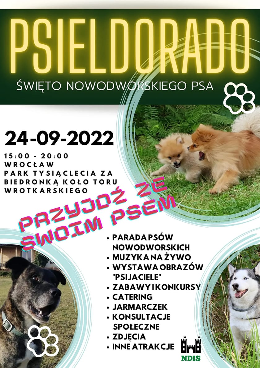 festyn na Nowym Dworze