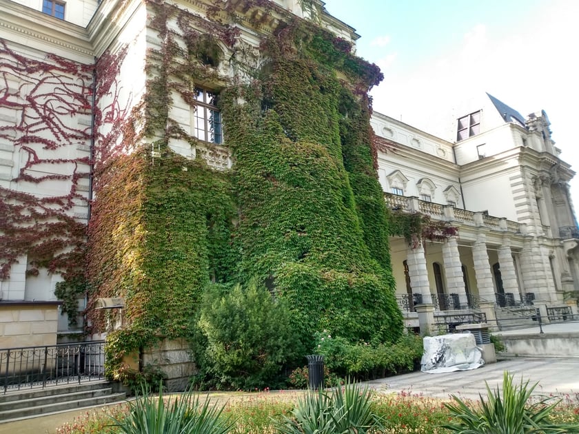Na zdjęciu budynek Teatru Lalek przy pl. Teatralnym 4. Jedna strona obiektu porośnięta jest gęstym winobluszczem.