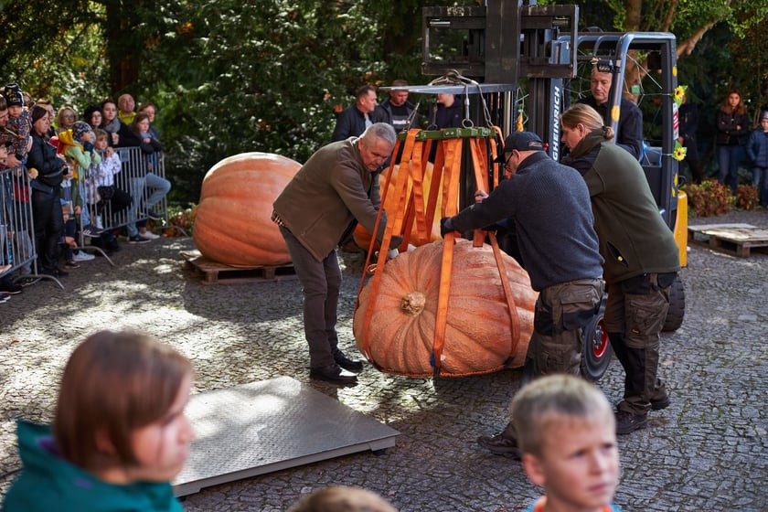 Dolnośląski Festiwal Dyni 2022 w Ogrodzie Botanicznym ? działo się!