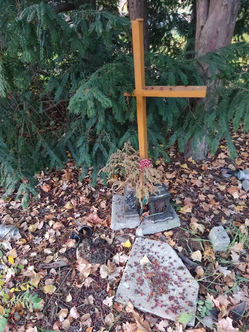 Dąbie, ul. Kosiby. Krzyż upamiętnia dawny cmentarz