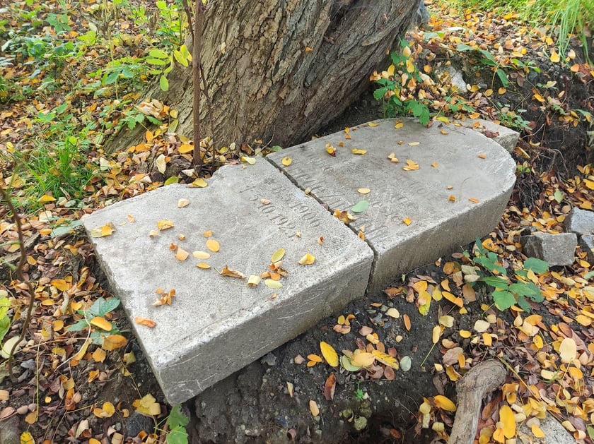 Poniemiecki nagrobek w zagajniku na Muchoborze Małym - rok 2023