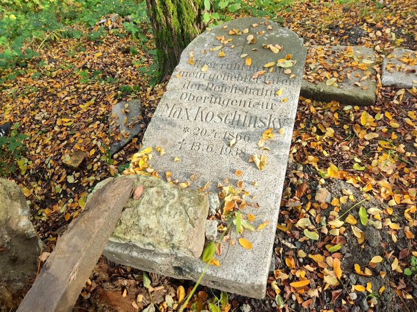 Poniemiecki nagrobek w zagajniku na Muchoborze Małym - rok 2023