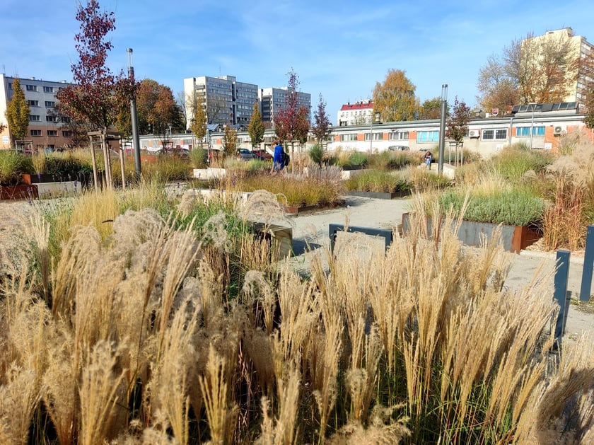 Skwer w miejscu dawnego Wielkiego Cmentarza w obrębie ulic Legnickiej, Braniborskiej, Trzemeskiej i Dobrej we Wrocławiu
