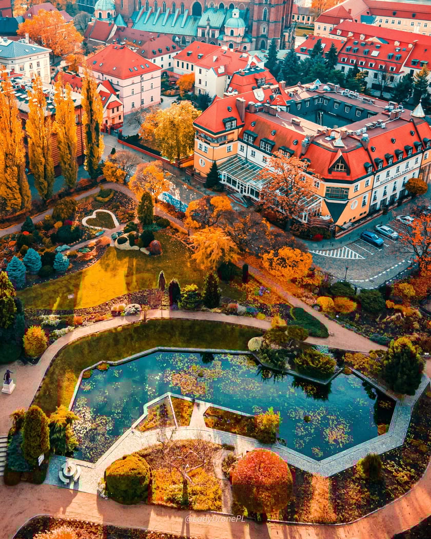 Wrocław - zdjęcie z drona