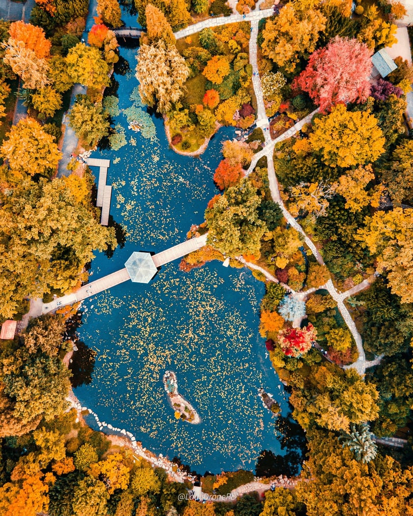 Wrocław - zdjęcie z drona