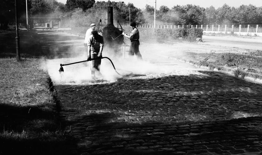 Wrocław w latach 60. XX w. Ówczesna al. Przodowników Pracy, 1961