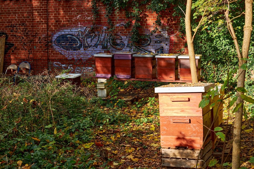 Klasztor franciszkanów na Karłowicach we Wrocławiu