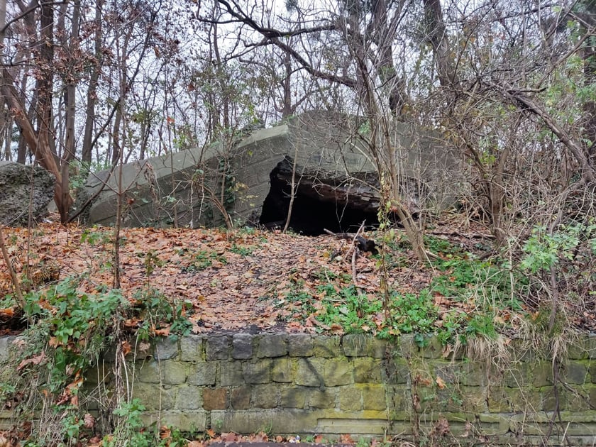 Ruiny bunkra przy ul. Skarbowców