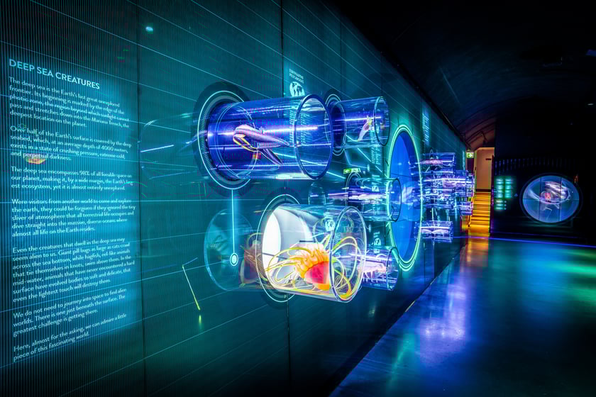 Na zdjęciu widać wrocławskie Hydropolis, które świętuje w tym roku siódme urodziny