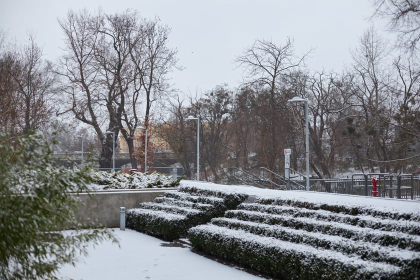 Zima zagościła we Wrocławiu. Właśnie spadł pierwszy śnieg...