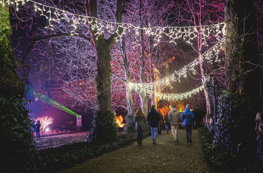 ?Światłogród?, czyli zimowa iluminacja w Ogrodzie Botanicznym to niezwykły spektakl światła, który rozjaśni mroczne i chłodne wieczory. To idealne miejsce zarówno dla dzieci, jak i dorosłych. Przez cały weekend (również w piątek, 6 stycznia) można tu przyjść w godz. od 16.30 do 21.00 (kasy czynne do 20.30). Ceny biletów: normalny ? 30 zł, ulgowy ? 20 zł.