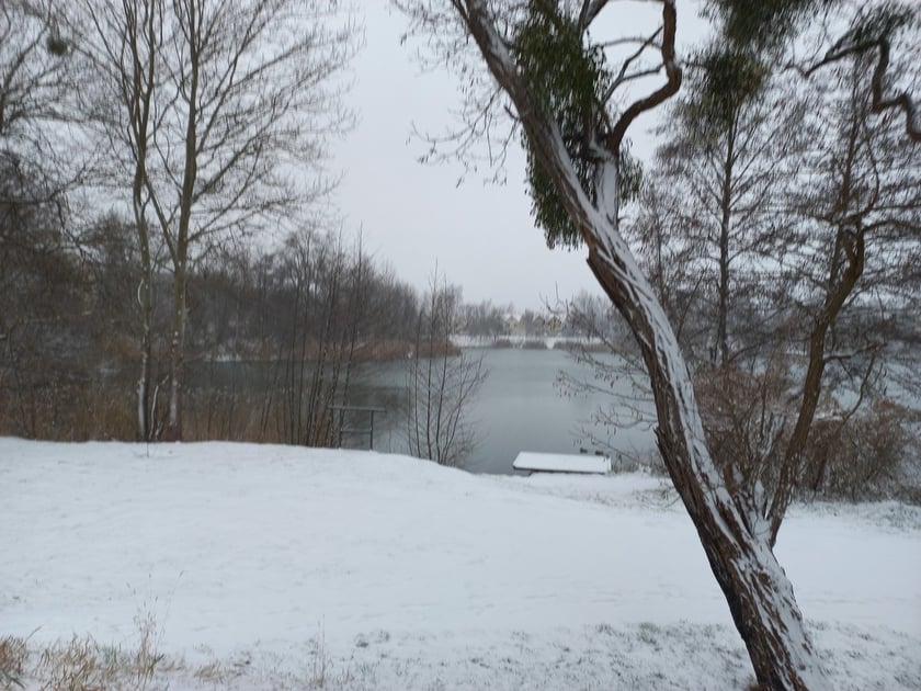 Zima we Wrocławiu. Osiedle Stabłowice w śniegu 21.01.2023